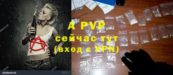 круглые Новодвинск