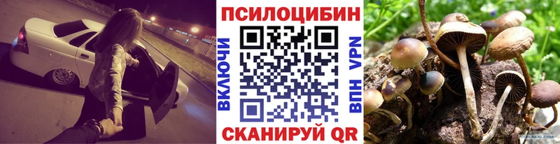 Галлюциногенные грибы GOLDEN TEACHER  Купить где  Кстово 